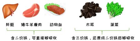 QQ截图20250910172616.jpg